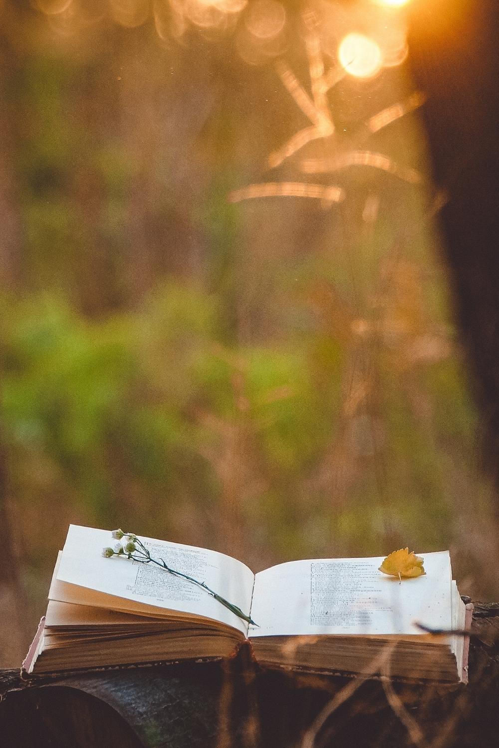 Poetisch schreiben – auch wenn du kein Gedicht schreiben willst